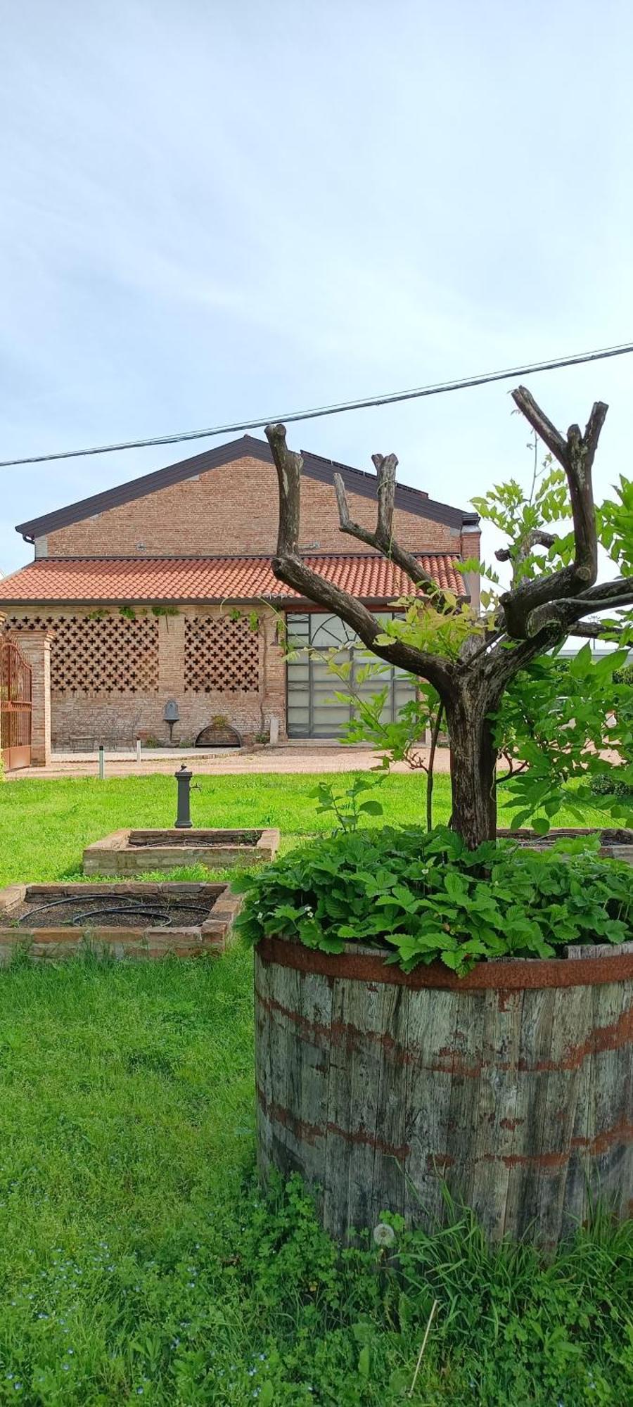 B&B Rocambola Nogara Exteriér fotografie